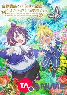 Shirohiyo VOSTFR streaming